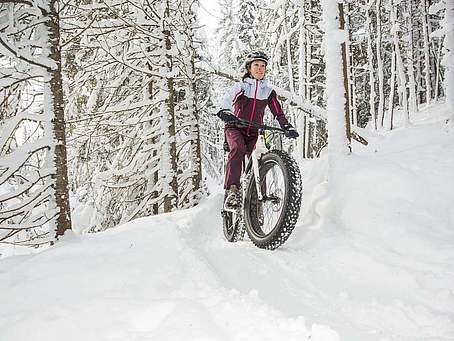 Entourage sur-le-Lac - Fat Bike