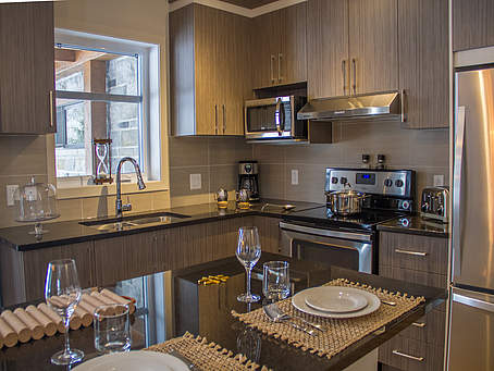 Le Viking Resort & Marina - Condo-Chalet